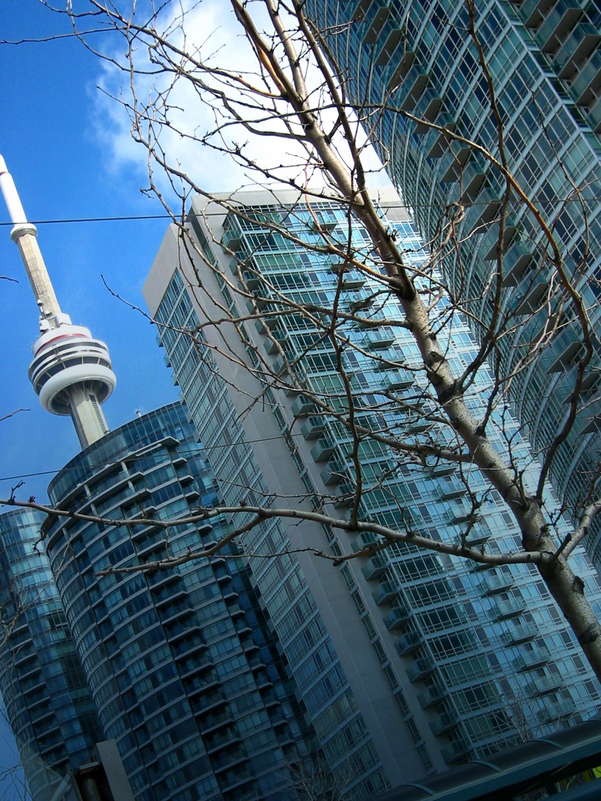 Pattern of stylized flowers in muted earth tones
